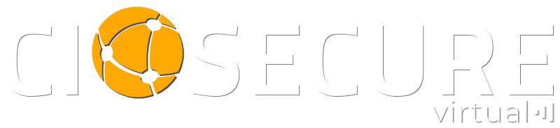 CIOsecuresmall