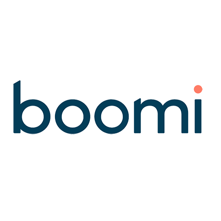 Boomi Logo Capture White